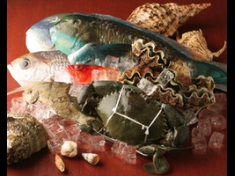 沖縄直送　島魚、空輸で新鮮　種類も豊富